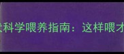 2月龄比熊幼犬科学喂养指南这样喂才能健康成长
