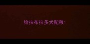 给拉布拉多犬配粮