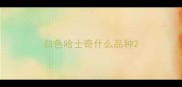 白色哈士奇什么品种