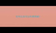 拉布拉多可以吃硬狗粮