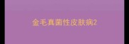 金毛真菌性皮肤病