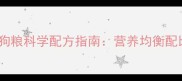 哈士奇一岁自制狗粮科学配方指南营养均衡配比与安全制作全
