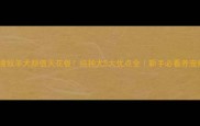 边境牧羊犬颜值天花板纯种犬5大优点全新手必看养宠指南
