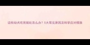 边牧幼犬吃完就吐怎么办5大常见原因及科学应对措施