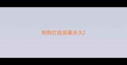狗狗打疫苗要多久