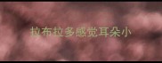 拉布拉多感觉耳朵小