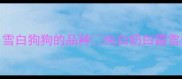 全网最全雪白狗狗的品种纯白奶白霜雪白特征图鉴