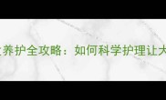 边境牧羊犬毛发养护全攻略如何科学护理让大毛毛健康生长