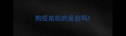 狗疫苗后的反应吗