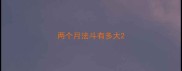 两个月法斗有多大