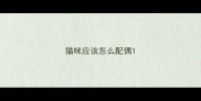 猫咪应该怎么配偶
