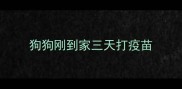 狗狗刚到家三天打疫苗