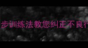 哈士奇见其他狗就扑3步训练法教您纠正不良行为附专业训练视频