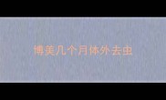 博美几个月体外去虫