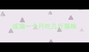 成猫一个月吃几斤猫粮