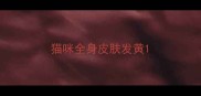 猫咪全身皮肤发黄
