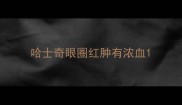 哈士奇眼圈红肿有浓血