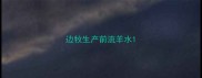 边牧生产前流羊水