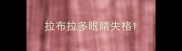 拉布拉多眼睛失格