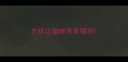 怎样让猫咪乖乖喝药