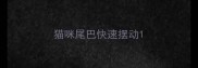 猫咪尾巴快速摆动