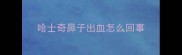 哈士奇鼻子出血怎么回事