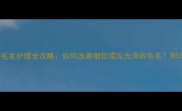 哈士奇毛发护理全攻略如何改善细软塌没光泽的毛毛附详细步骤