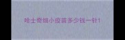 哈士奇细小疫苗多少钱一针
