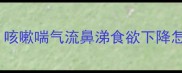 狗狗支气管炎症状全咳嗽喘气流鼻涕食欲下降怎么办附家庭护理指南