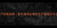 猫咪临产急救指南新手猫妈必看的生产困难应对全攻略