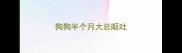 狗狗半个月大总呕吐