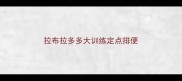 拉布拉多多大训练定点排便