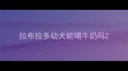 拉布拉多幼犬能喝牛奶吗