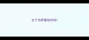 五个月萨摩怕冷吗