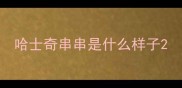 哈士奇串串是什么样子