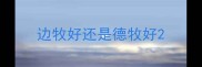 边牧好还是德牧好