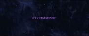 3个月泰迪营养餐
