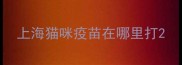 上海猫咪疫苗在哪里打