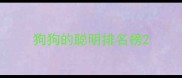 狗狗的聪明排名榜