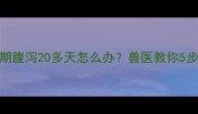 小狗长期腹泻20多天怎么办兽医教你5步排查法