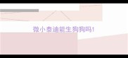 微小泰迪能生狗狗吗