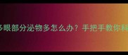 拉布拉多眼部分泌物多怎么办手把手教你科学护理