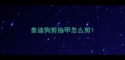 泰迪狗剪指甲怎么剪