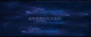 成年狗狗的狂犬疫苗