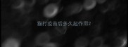 猫打疫苗后多久起作用
