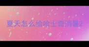夏天怎么给哈士奇消暑
