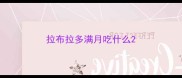 拉布拉多满月吃什么
