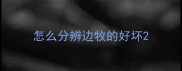 怎么分辨边牧的好坏