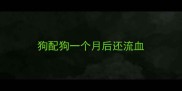 狗配狗一个月后还流血