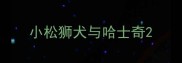 小松狮犬与哈士奇